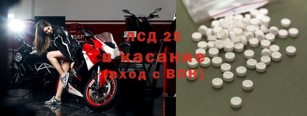 прущий лед Богданович