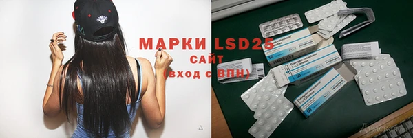 прущий лед Богданович