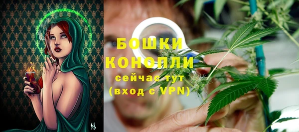прущий лед Богданович