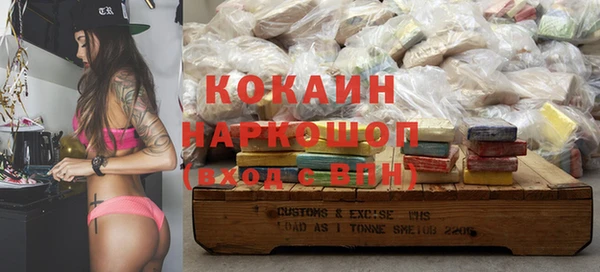 прущий лед Богданович
